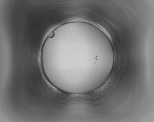 X0000113050863200908271053