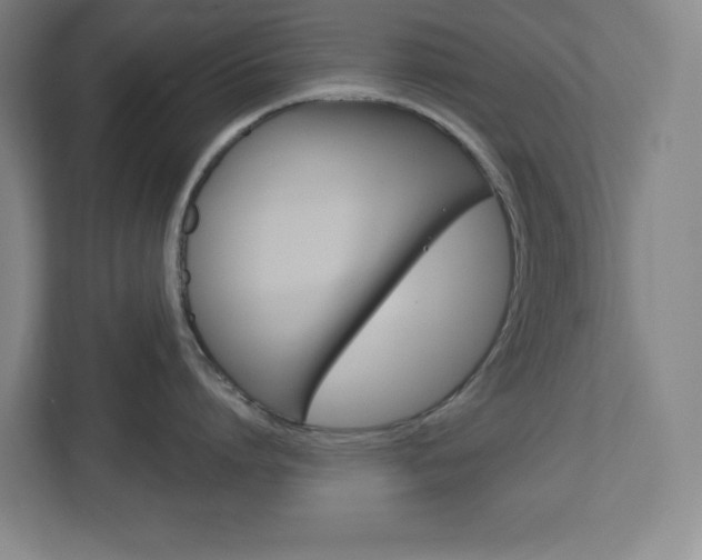 X0000113050864200908271053