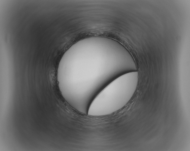 X0000113050867200908271053