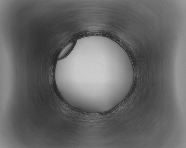 X0000113050868200908271053