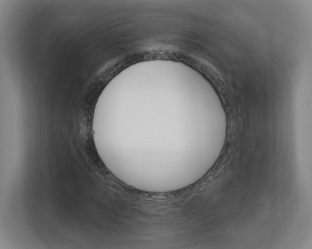 X0000113050869200908271053