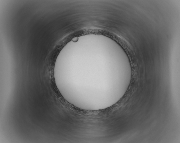 X0000113050870200908271053