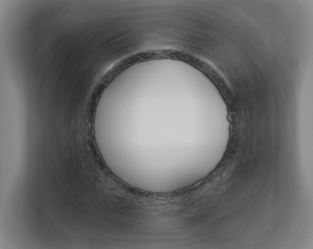 X0000113050871200908271053