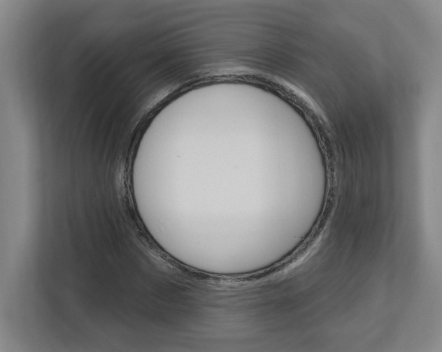 X0000113050873200908271053