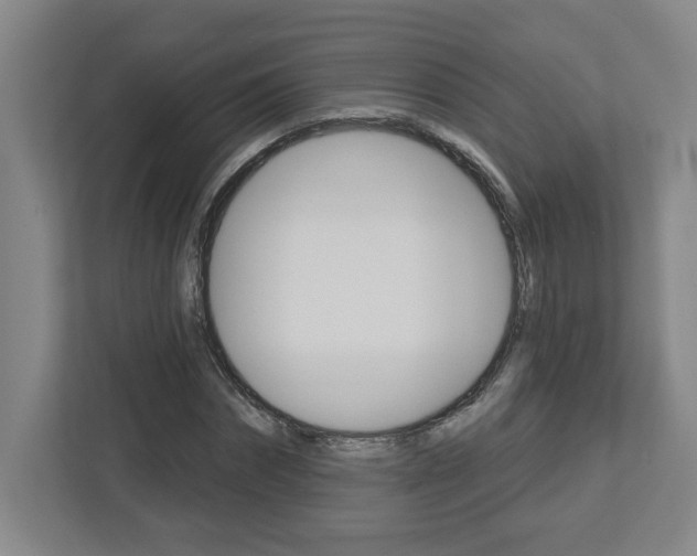 X0000113050874200908271053