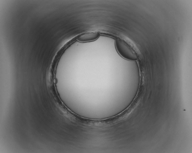 X0000113050876200908271053