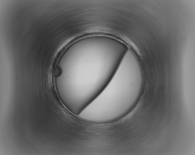 X0000113050877200908271053