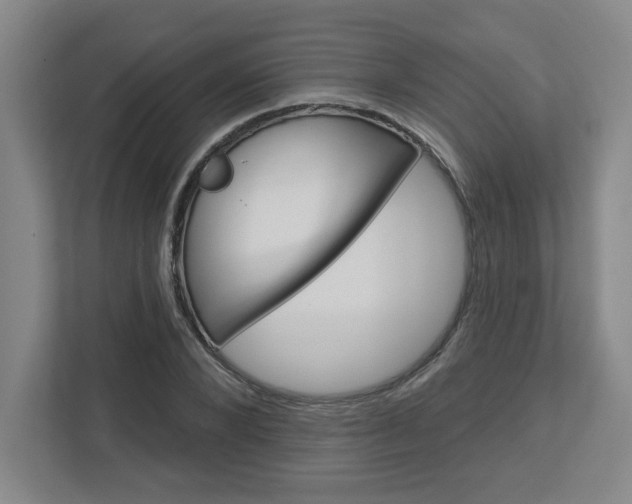 X0000113050880200908271053