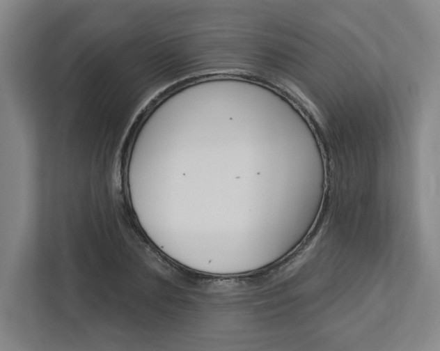 X0000113050883200908271052