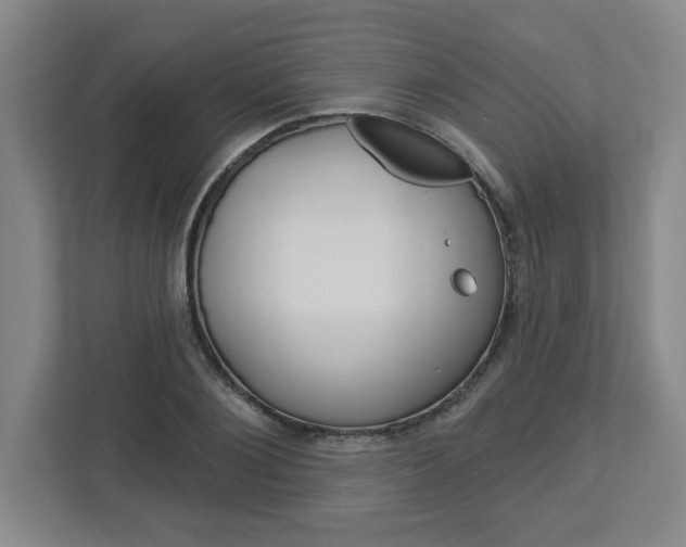 X0000113050884200908271052