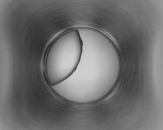 X0000113050885200908271052