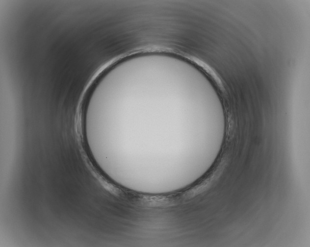 X0000113050886200908271052
