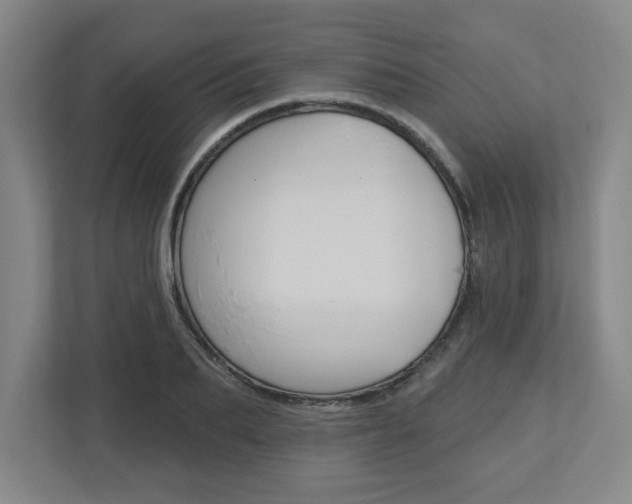 X0000113050887200908271052