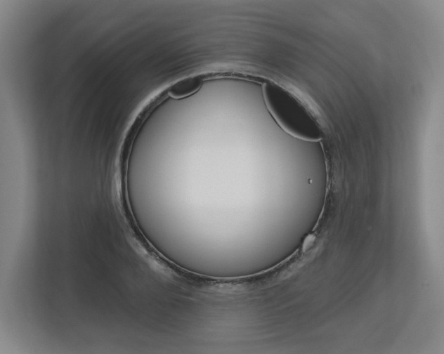 X0000113050888200908271052