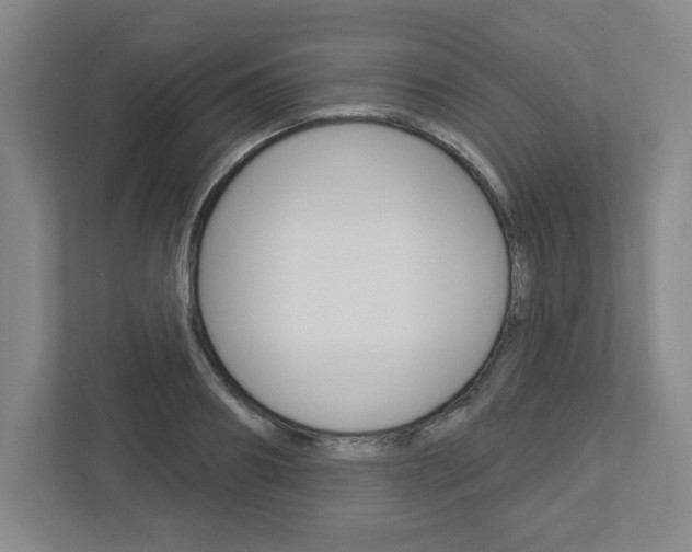X0000113050890200908271052
