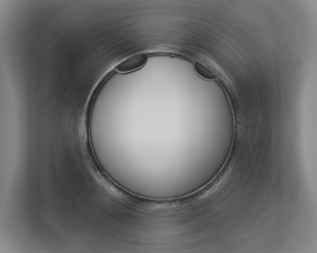 X0000113050892200908271052