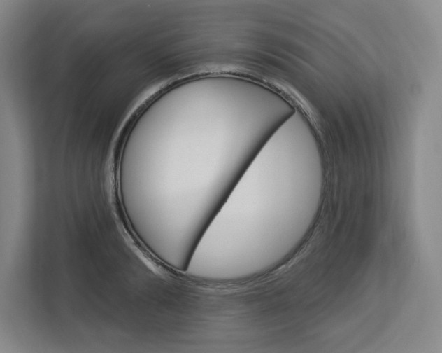 X0000113050894200908271052