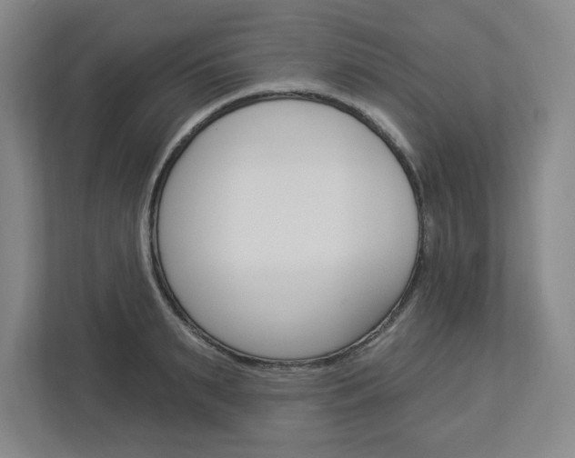 X0000113050895200908271052