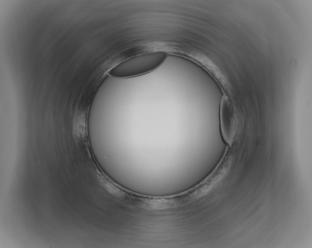 X0000113050897200908271052
