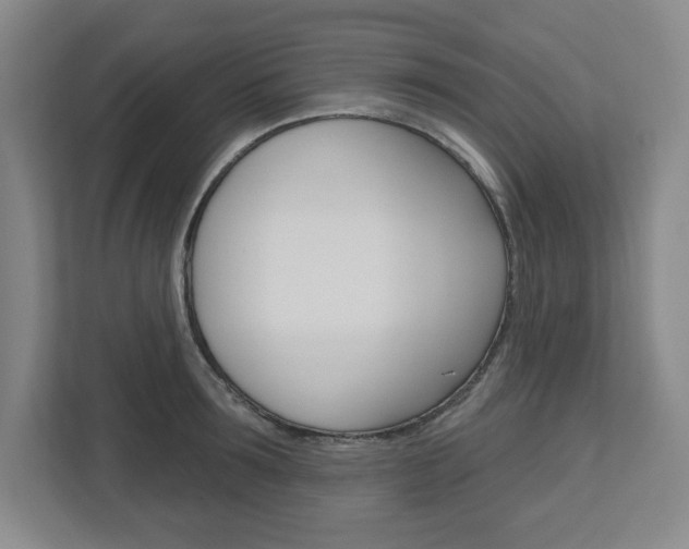X0000113050899200908271052