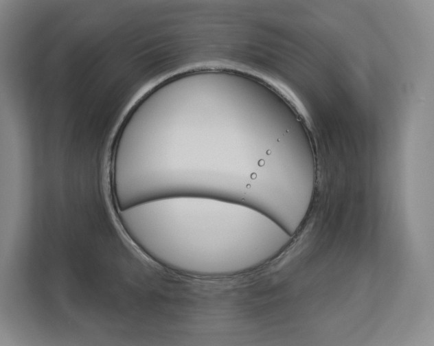X0000113050903200908271052