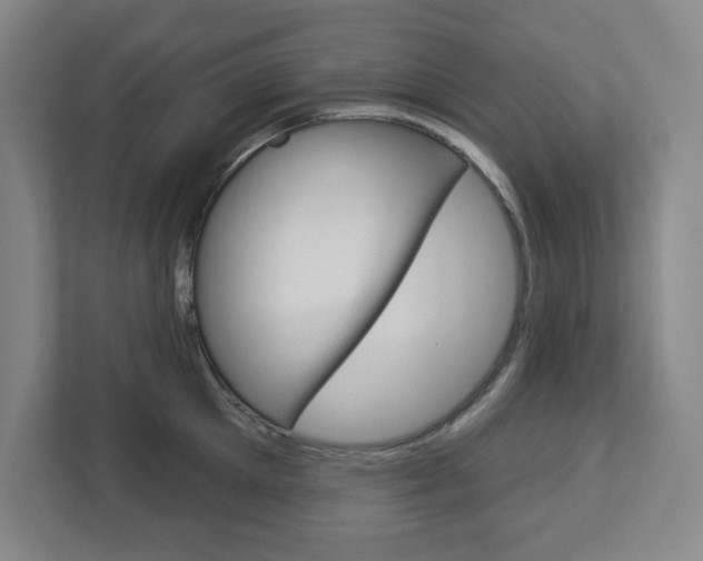 X0000113050905200908271052