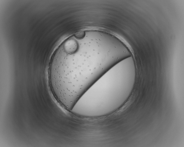 X0000113050906200908271052