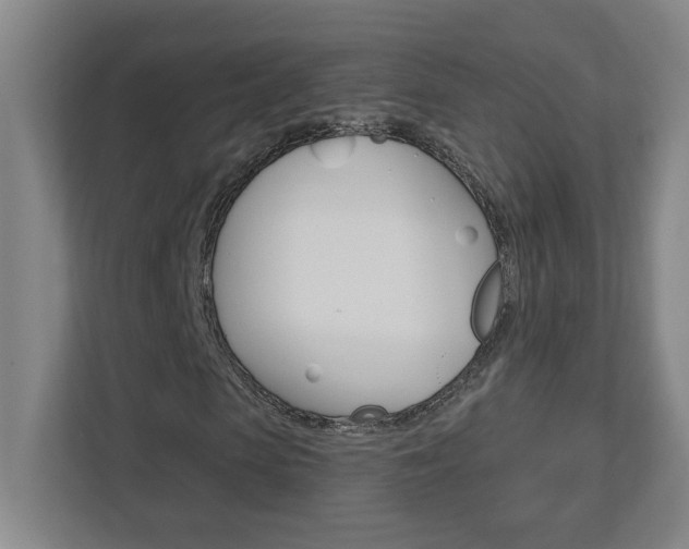 X0000113050913200908271051