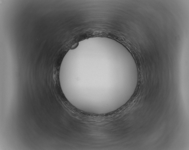 X0000113050914200908271051