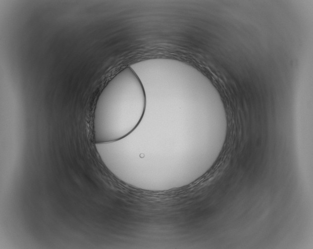 X0000113050916200908271052