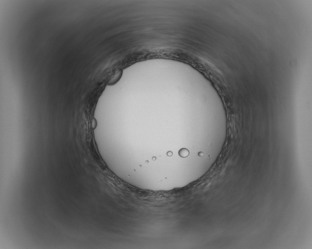 X0000113050917200908271052