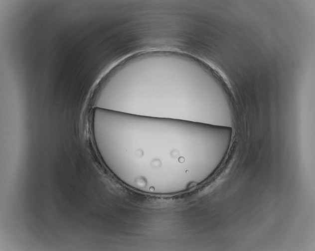 X0000113050925200908271052