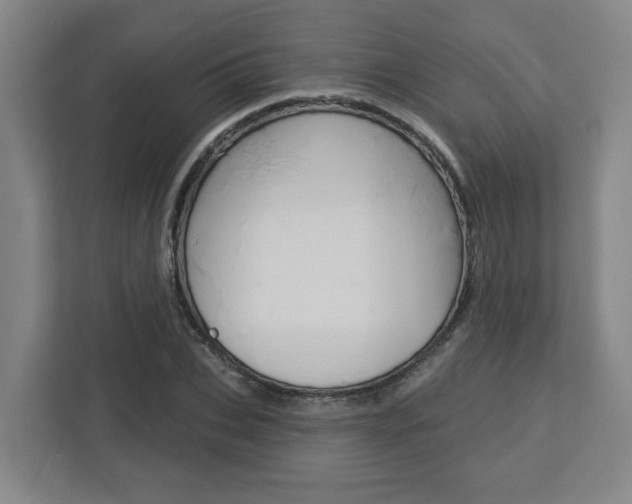 X0000113050927200908271052