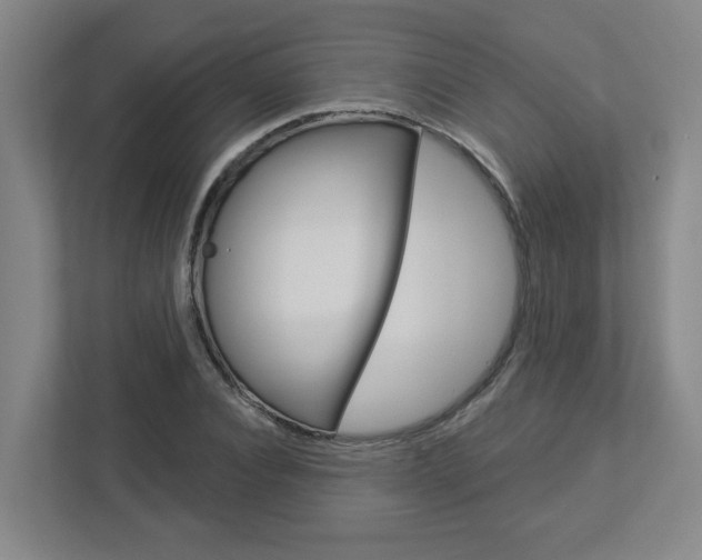 X0000113050928200908271052