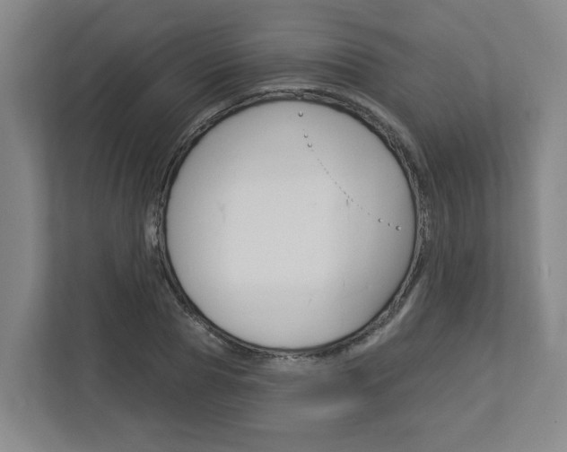 X0000113050929200908271052