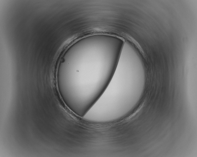 X0000113050930200908271052