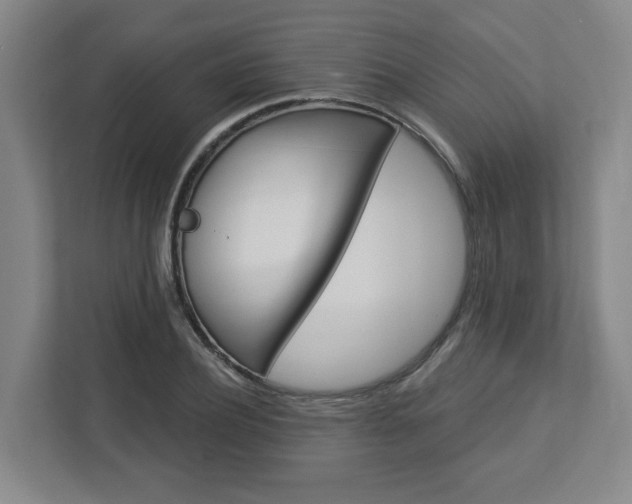 X0000113050932200908271052