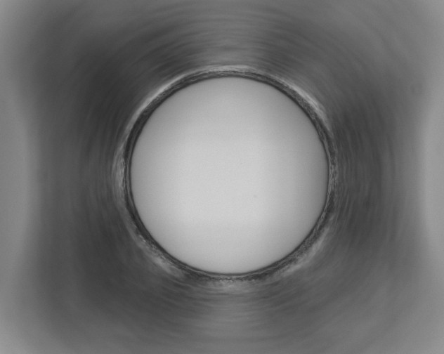 X0000113050933200908271052