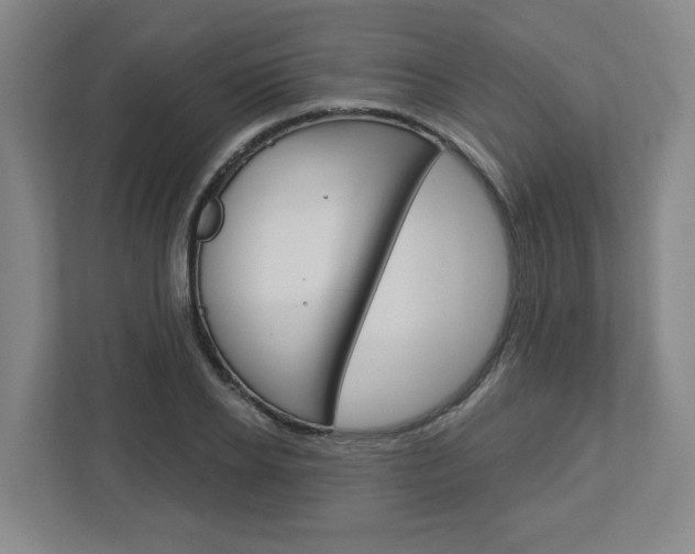 X0000113050934200908271052