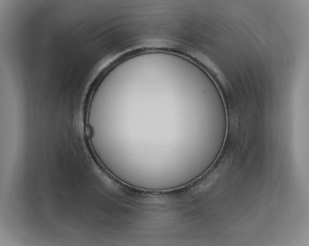 X0000113050935200908271052