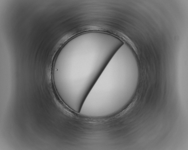 X0000113050938200908271052