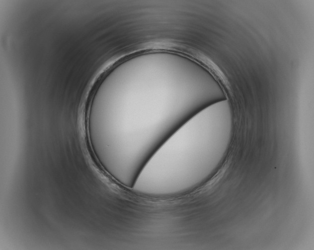 X0000113050939200908271052