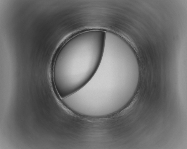 X0000113050942200908271052