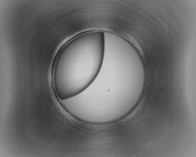 X0000113050944200908271052