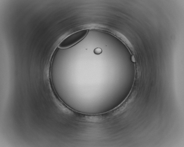 X0000113050946200908271052
