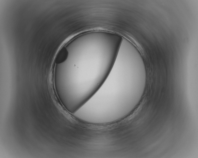 X0000113050948200908271052