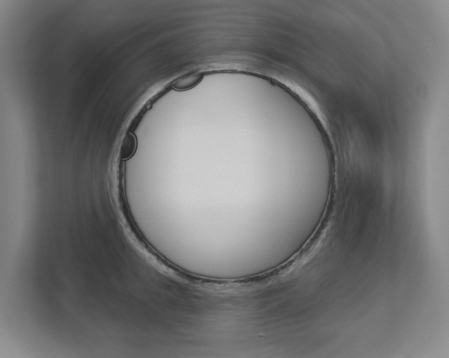 X0000113050949200908271052
