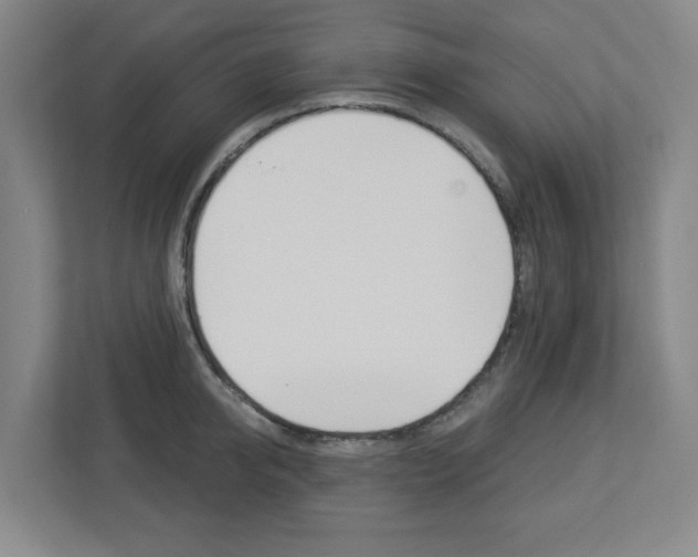 X0000113050950200908271052