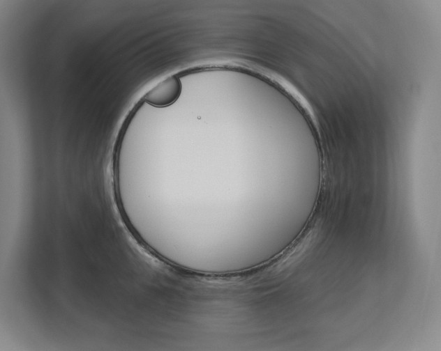 X0000113050951200908271052