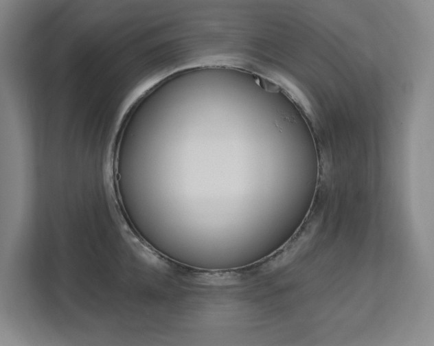 X0000113050952200908271052